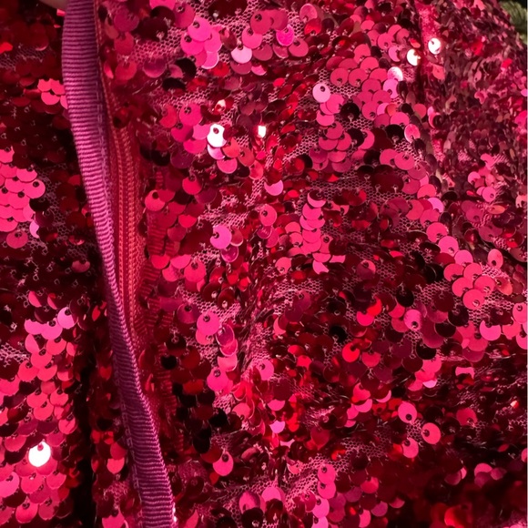 Zara Limited Edition Pink Sequined Trousers Small NWT Blogger Fav Holiday Party - Picture 10 of 13